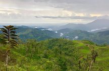 Los Quetzales National Park and Coope-Dota Coffee Experience
