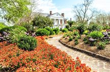 Boone Hall Plantation All-Access Admission Ticket