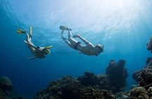 Snorkeling Tour at Land's End in Cabo San Lucas