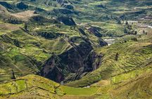 Colca Canyon + Transfer To Puno