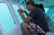 Roatan Glass Bottom Boat Tour and Beach
