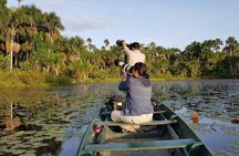 Best of Tambopata 2 nights by JunglePro 