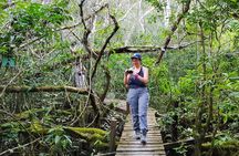 Best of Tambopata 2 nights by JunglePro 