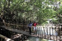 City tour, DrayNur waterfall and Ban Don village Buon Ma Thuot