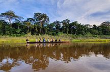 Best of Tambopata 3 nights by JunglePro
