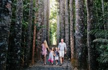 Day Tour to Paronella Park, Lake Barrine and Millaa Millaa Falls