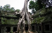 1-Day Angkor Wat Sunrise & All Interesting Temples Private Tour