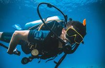 Open Water Course