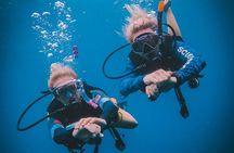 Open Water Course