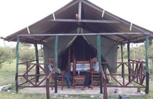 3 Days Masai Mara Budget Camping Safari Experience