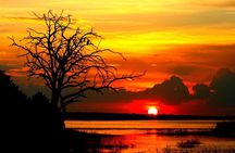 Explore Chobe National Park With a Day Trip from Victoria Falls