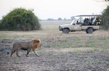 Explore Chobe National Park With a Day Trip from Victoria Falls