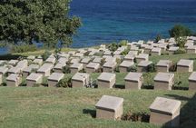 Getaway Turkey 5-Day Tour from Istanbul: Gallipoli and Troy