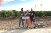 Haft-day Winery tour from Zaragoza
