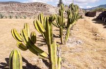 Full-Day Hierve El Agua, Mitla and Tule Tour from Oaxaca City