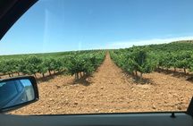 Haft-day Winery tour from Zaragoza