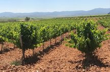 Haft-day Winery tour from Zaragoza