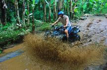 Bali ATV Quad Bike with Lunch
