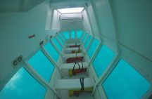 Roatan Glass Bottom Boat Tour and Beach