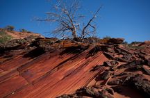 Hiking in Kanab: Walk and Photograph the incredible Wire Pass Slot Canyon!