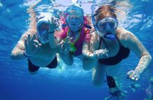 Dolphin House Reef Snorkeling Sea Trip With Transfer - Marsa Alam