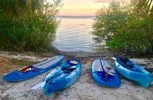 Paddle Board or Kayak Eco Dolphin Manatee Tour