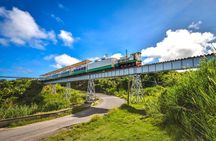 St Kitts Scenic Train Tour (Hotel or Ship)