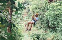 Roatan Canopy Zipline Tour
