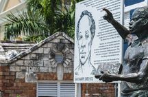 [PRIVATE] Montego Bay Highlights Tour