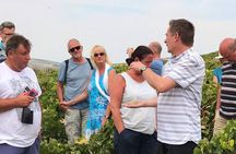 Sherry Experience in the Vineyard