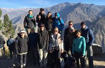 Full Day Tour Including Transfer to Puno / Colca Canyon