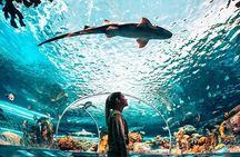 Toronto, Niagara Falls & Thousand Islands VIP 2–Day Trip
