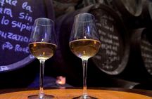 Sherry Experience in the Vineyard
