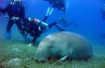  Diving Full Day Boat Trip - Marsa Alam