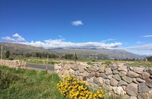 2 Day Trek Including Transfer to Puno / Colca Canyon