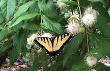 Saint Petersburg Preserve Bike Tour 