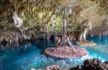 Half-Day Private Tulum and Sak Aktun Cave Cenote Tour from Cancun
