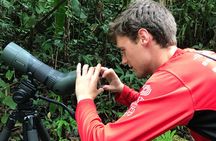 Carara National Park Birdwatching Private Guided Tour Experience. 