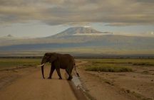 3-Day Maasai Mara Guided Safari From Nairobi 