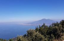 Mount Molare & Faito hike - Amalfi & Sorrento coast