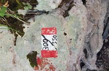 Mount Molare & Faito hike - Amalfi & Sorrento coast