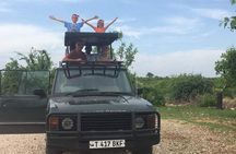 Serengeti N. Park_ Lake Manyara and Tarangire National park 