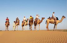 Overnight Camel Safari at Non-Touristic Route