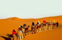 Overnight Camel Safari at Non-Touristic Route