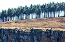 Panorama Route Guided Day Tour & Gorge Lift from Hazyview