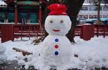 [Private Tour] Nami Island & Ski (Ski Lesson, Equip & Clothing Included)