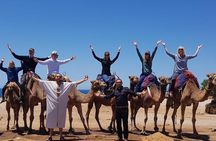 Best of Tangier: Camel Ride, Medina Walk & Breathtaking Views