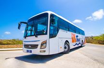 Aruba Island Sightseeing Tour