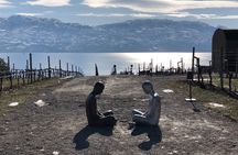 Okanagan Private Wine Tour In Your Own Vehicle