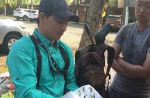 Birdwatching Tour Manuel Antonio / Esquipulas Private Tour 